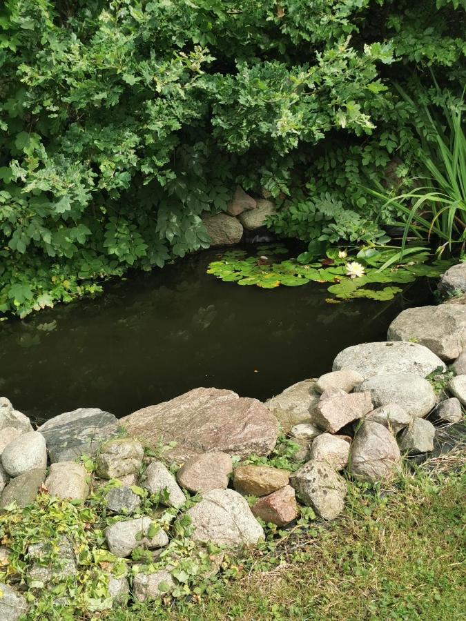 Pension Zum Park Goldberg Bagian luar foto