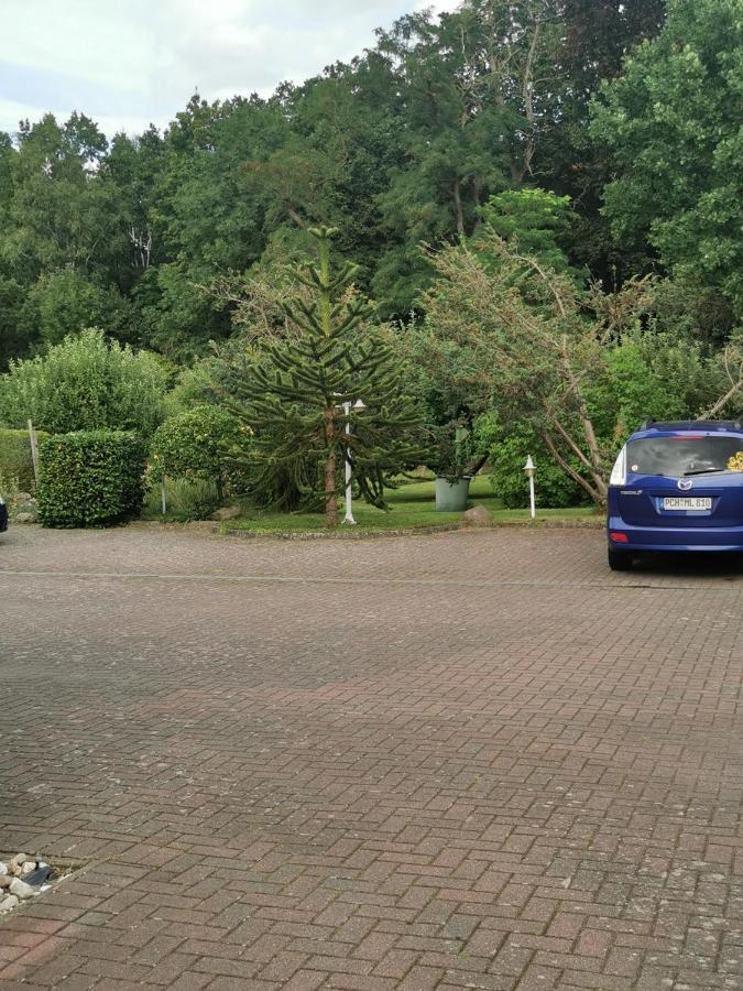 Pension Zum Park Goldberg Bagian luar foto