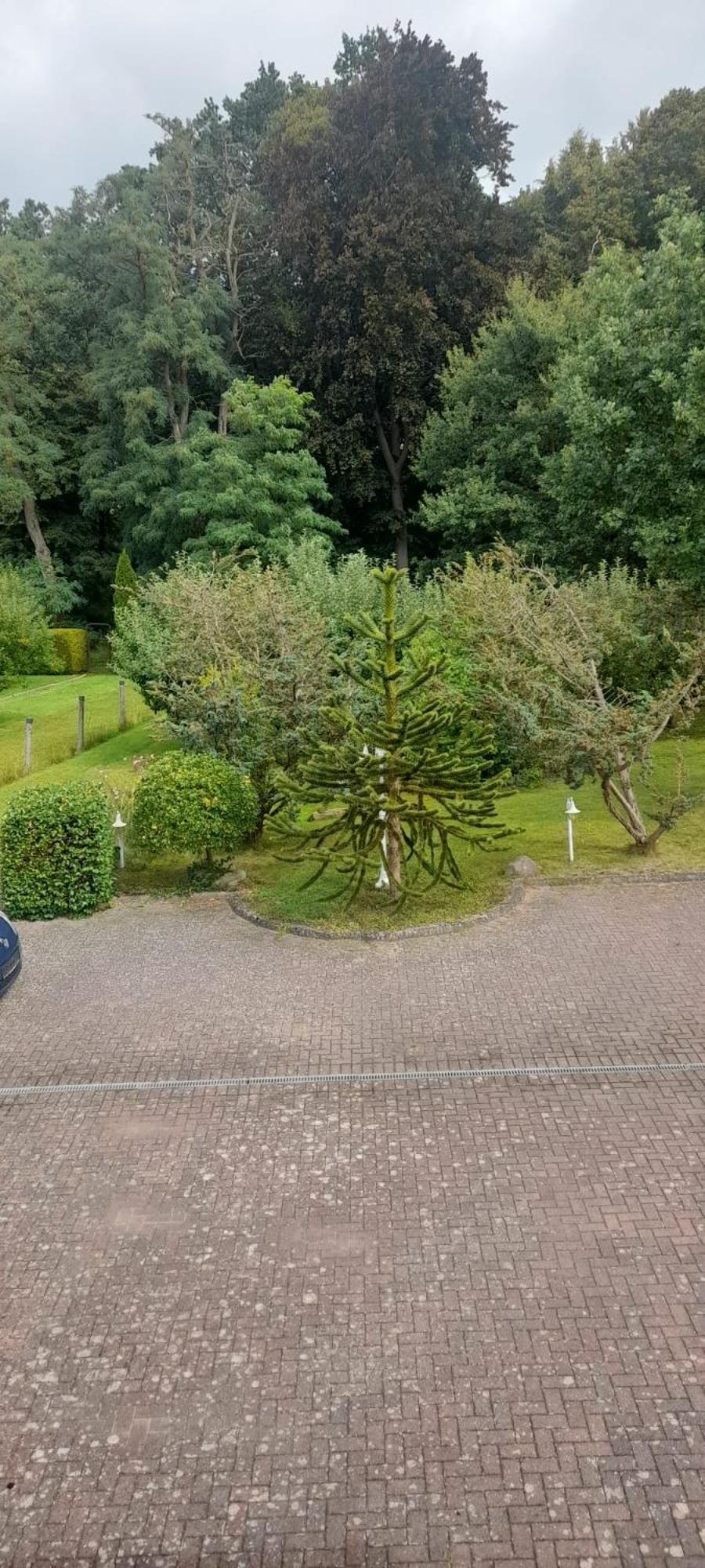 Pension Zum Park Goldberg Bagian luar foto